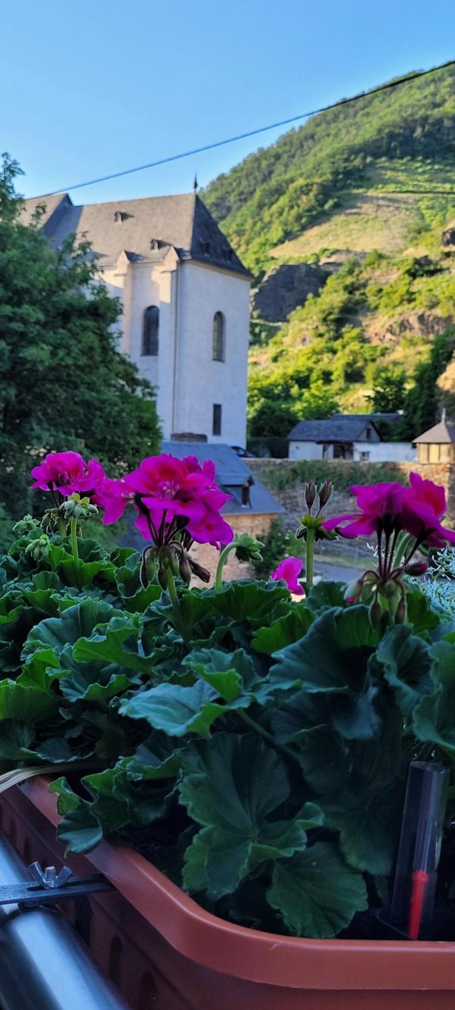 Im Beilsteiner Muehlental Apartamento Beilstein  Exterior foto